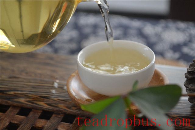 Where is the origin of Mansong Ancient Tree Tea?-3
