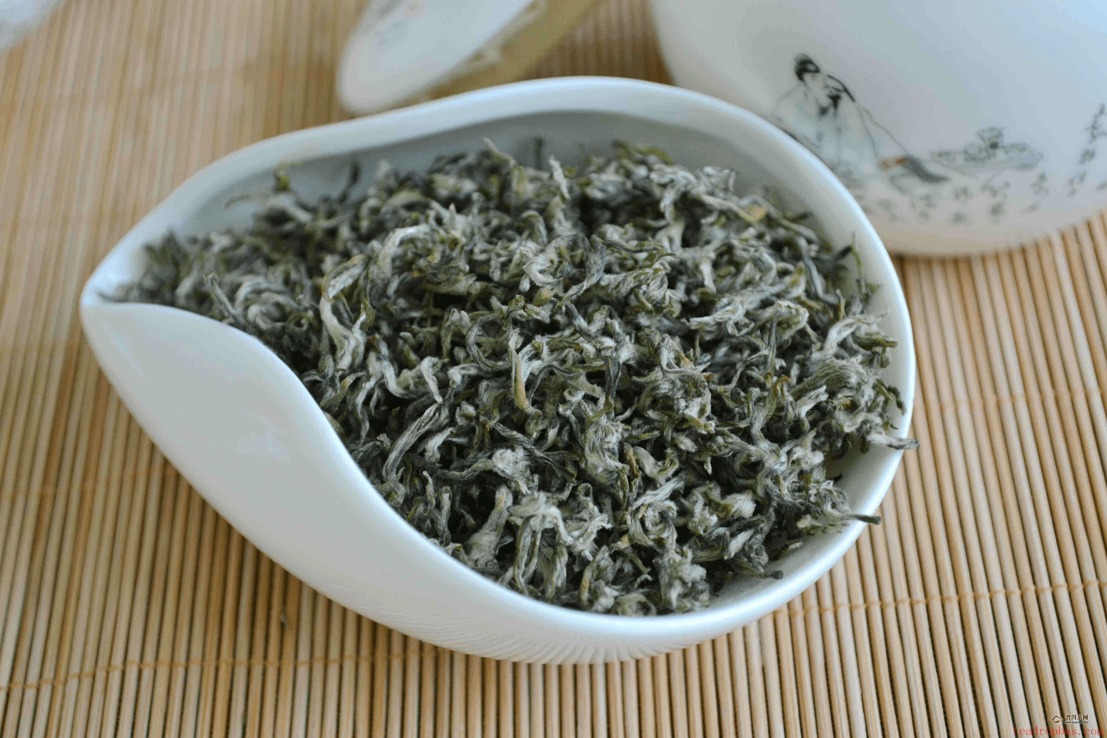 How to Brew Biluochun? A Hint of Fresh Aroma in Spring-3