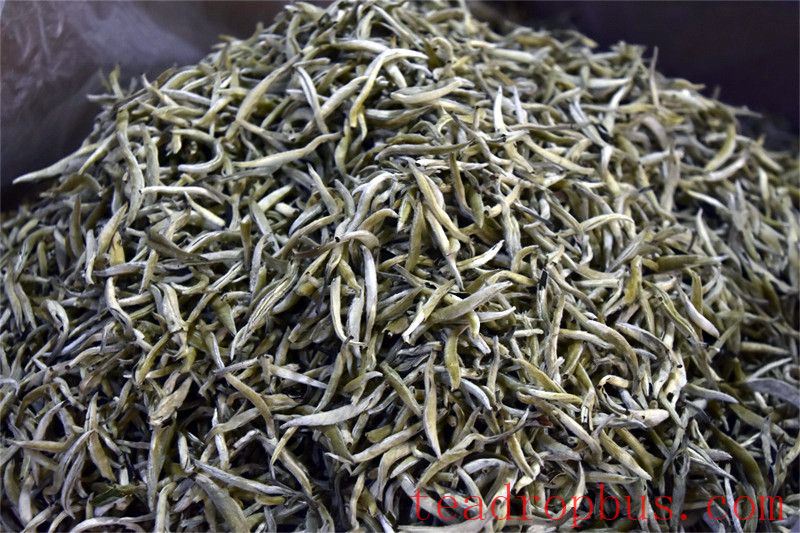 The Mystery of Bai Cha's Durability: Exploring the Secrets of Quality and Brewing-3