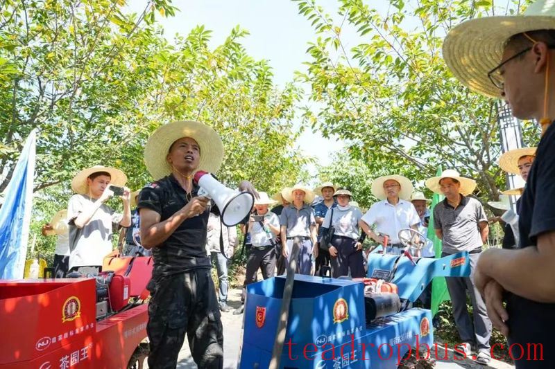 A Field Demonstration of Tea Garden Mechanized Cultivation and Weeding Held in Qimen County-1