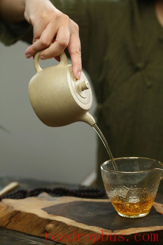 Gaiwan or Purple Clay Pot for Brewing Pu'er Tea? Here's How Experts Choose!-1