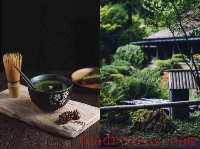 Tea + Cocktails-4