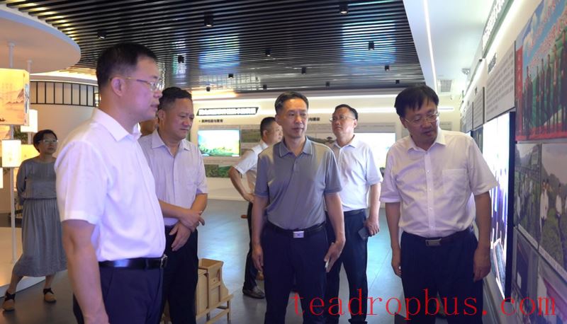 Hubei Provincial Intellectual Property Administration Conducts Research on the Development and Construction of the Tea Industry in Yingshan County-2