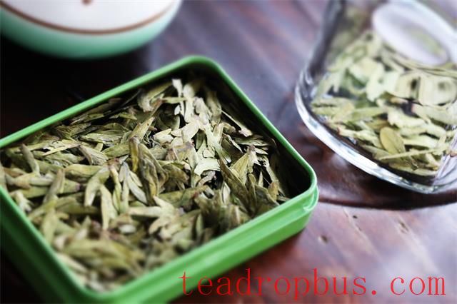 Brewing Green Tea: Techniques and Tips to Remember!-3