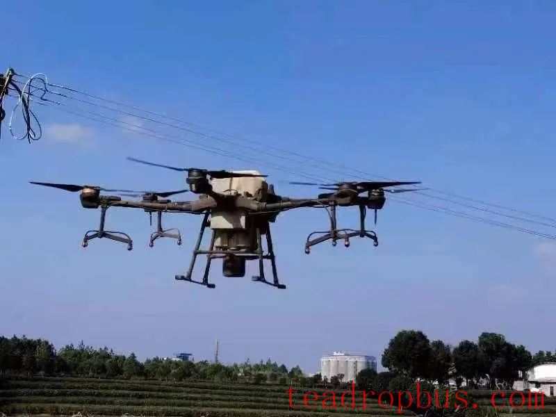 Yueyang Experience in Spraying Foliar Fertilizer for Drought and Cold Resistance in Tea Gardens-6