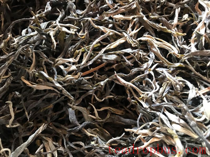 Hua Zhu Liangzi Belongs to Which Tea Region-2