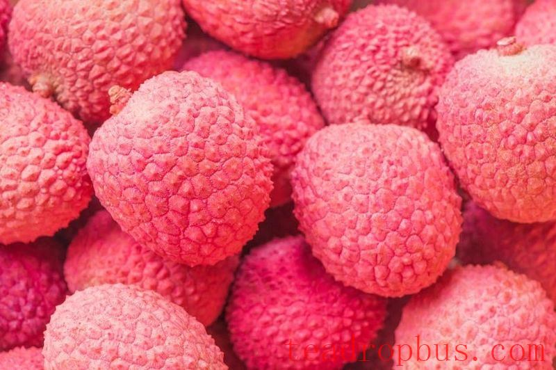 Litchi and Tea: An Unexpected Combination!-1