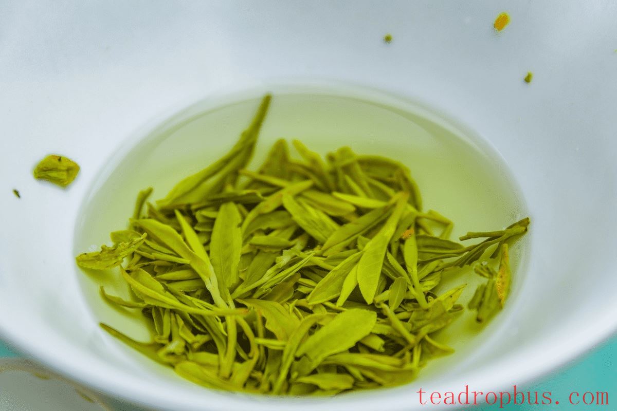 How to Brew Biluochun? A Hint of Fresh Aroma in Spring-2