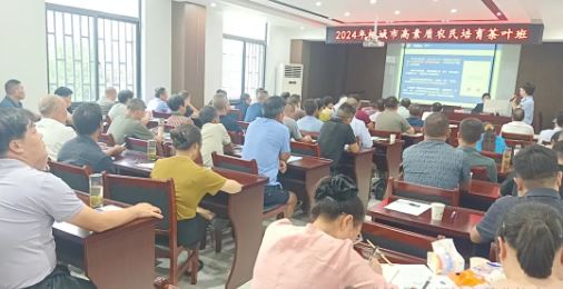 Cultivating High-Quality Tea Farmers to Enhance the Development Level of the Tea Industry-2