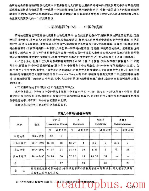Bangwei Ancient Tea Tree: A Transitional Type Between Primitive Wild and Cultivated Tea Trees-3