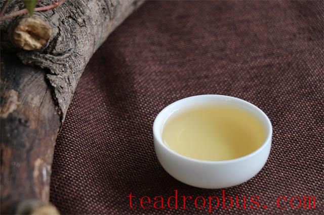 Tea and the Rhythm of Life: Unveiling the Essence of Existence in Aroma-5