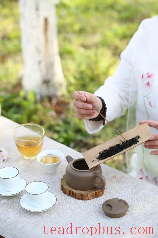 Scalding a Purple Clay Pot Before Tea: What Are the Purposes Beyond Warming the Cup?-4