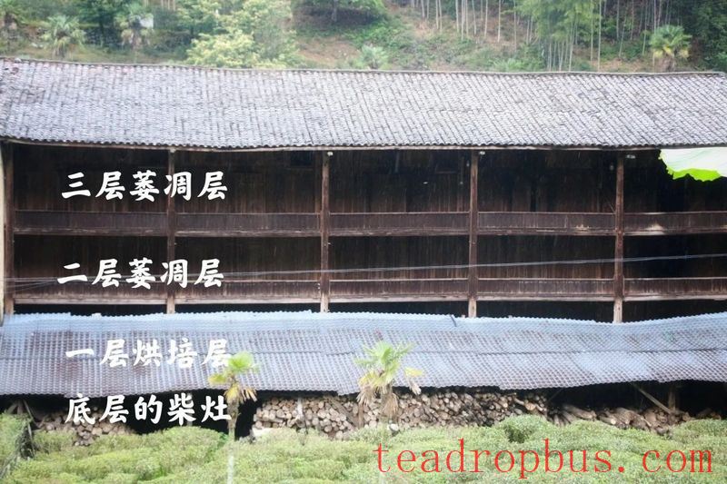 A Detailed Look at the Manufacturing Techniques of Zhengshan XiaoZhong, an Intangible Cultural Heritage-3