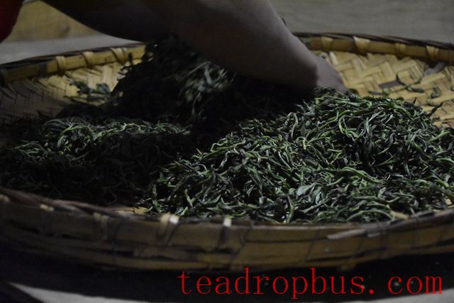 Puer Raw Tea Production Process-3