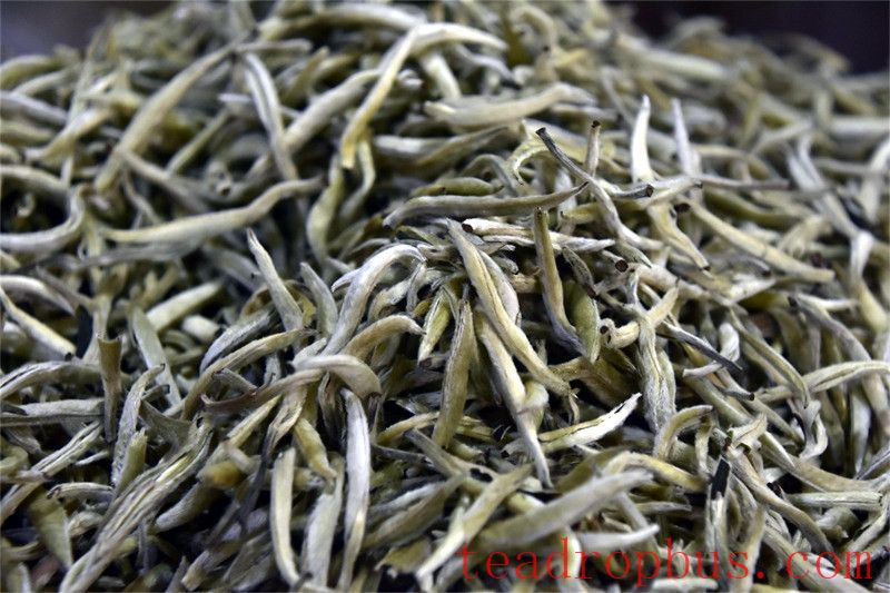 When in Doubt About Which Tea to Choose, Start with White Tea-1