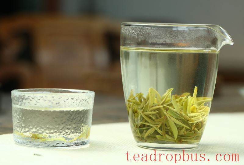 The Tea Pact of the Dog Days: A Guide to Drinking Tea Properly!-3