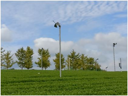 Technical Measures for Tea Gardens in Anhui Province to Cope with Low Temperatures, Snow, and Freezing Weather-4