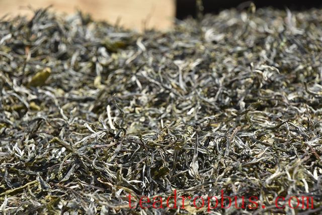 Sun-Drying in Pu'er Tea-1
