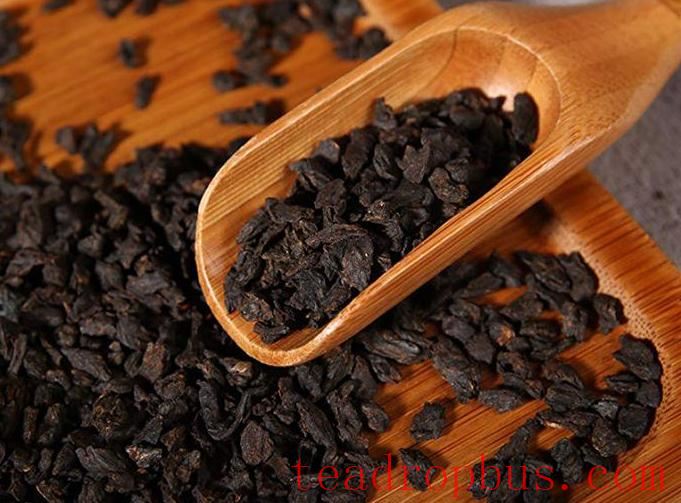 Brewing Methods for Tea Fossils: A Simple and Easy-to-Understand Guide-1