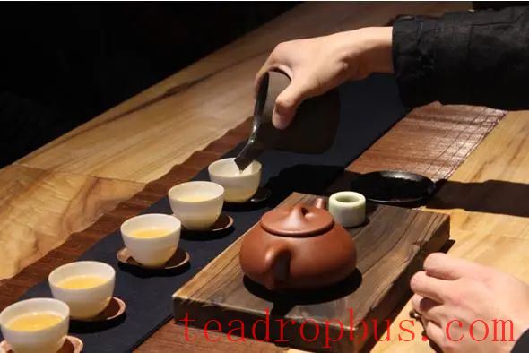 White Tea Speaks: A Love for 