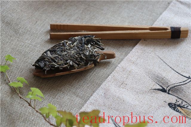 Puer Tea Drinking Habits Throughout the Day-1