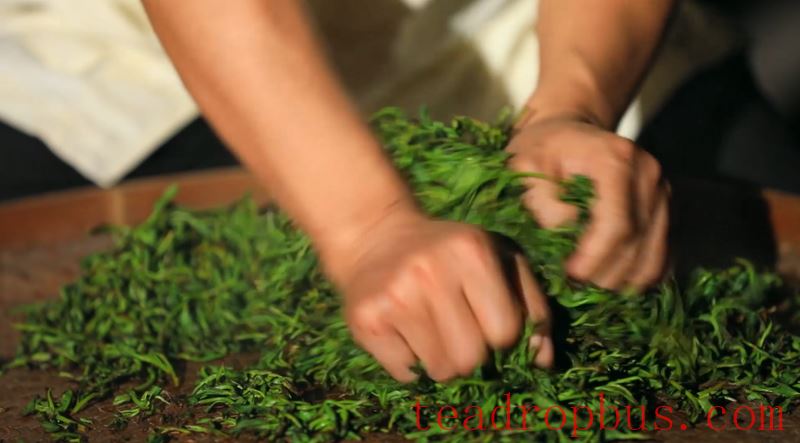 The Traditional Skills for Producing Anxi Tieguanyin Tea Successfully Included in the UNESCO Representative List of the Intangible Cultural Heritage of Humanity-7