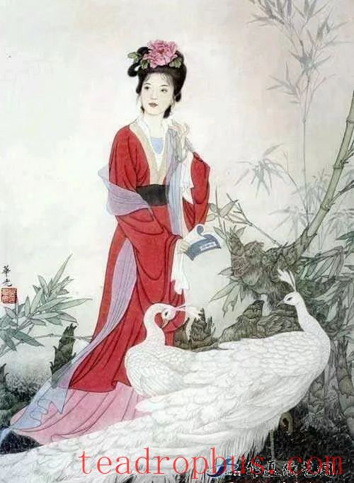 Li Ye, China's First Female Tea Artisan-6