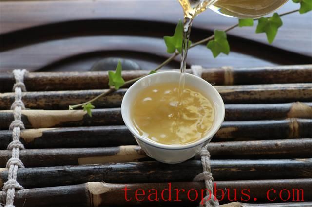 Tea is More Than a Beverage; It's a Companion in Life-2
