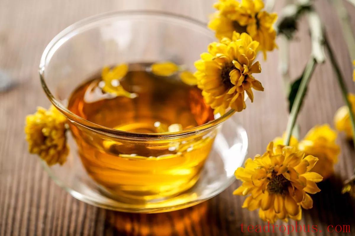 The Amazing Benefits of Chrysanthemum Tea – Did You Know?-4