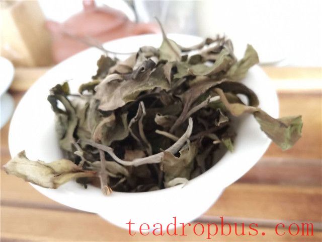 Basic Knowledge about Washing Tea for the Six Types of Tea-1