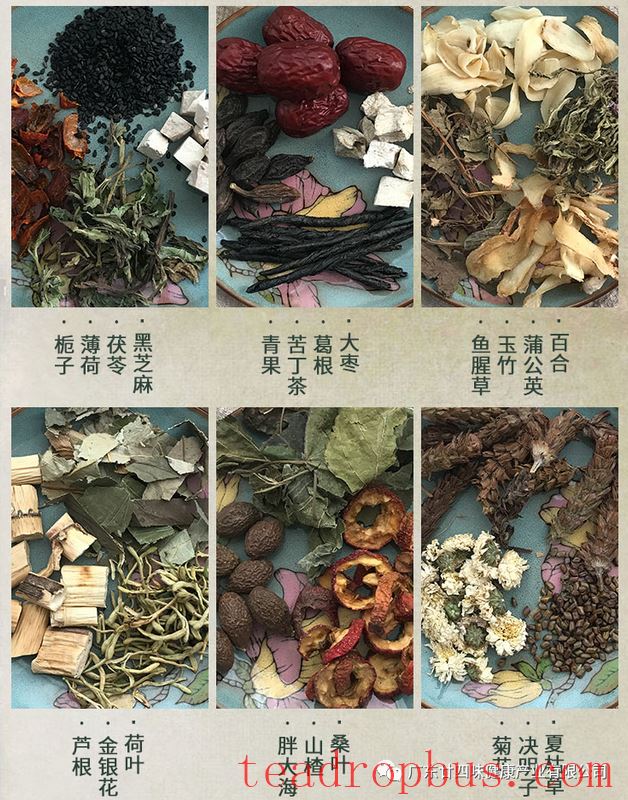 The Craft of Making the 24-Ingredient Herbal (Cool) Tea-5