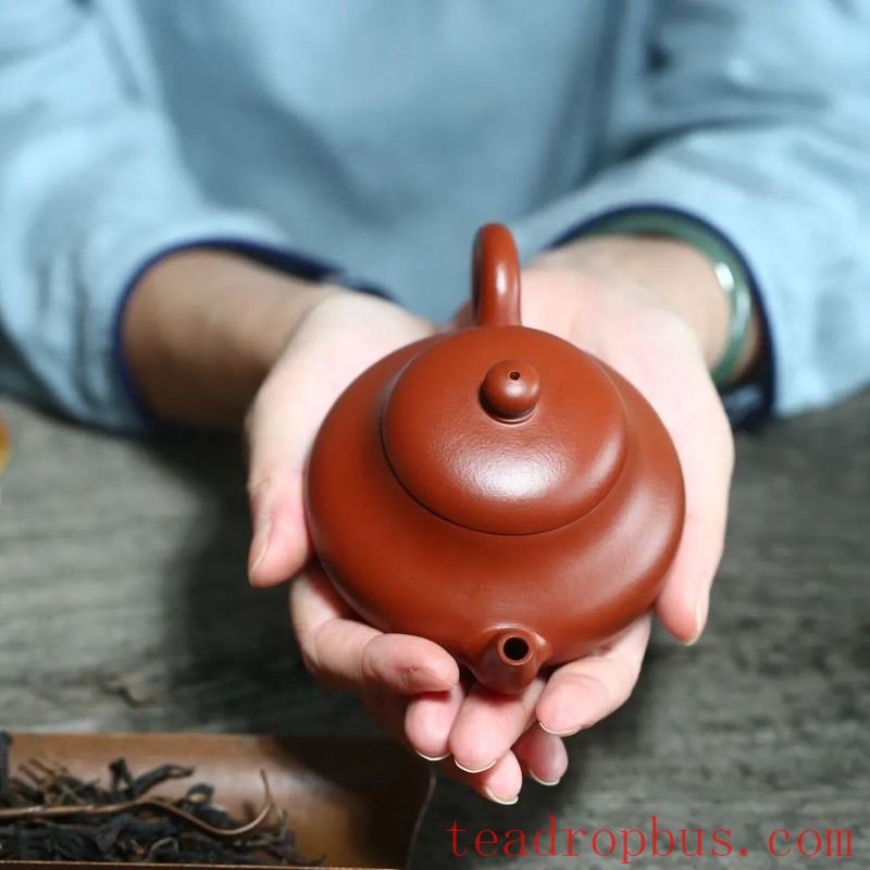 What Types of Purple Clay Teapots Are Generally Suitable for Women?-5