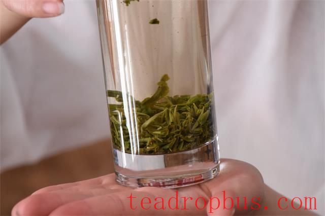 Green Tea Glass Cup Brewing Method, and the Best Time to Drink Green Tea-2