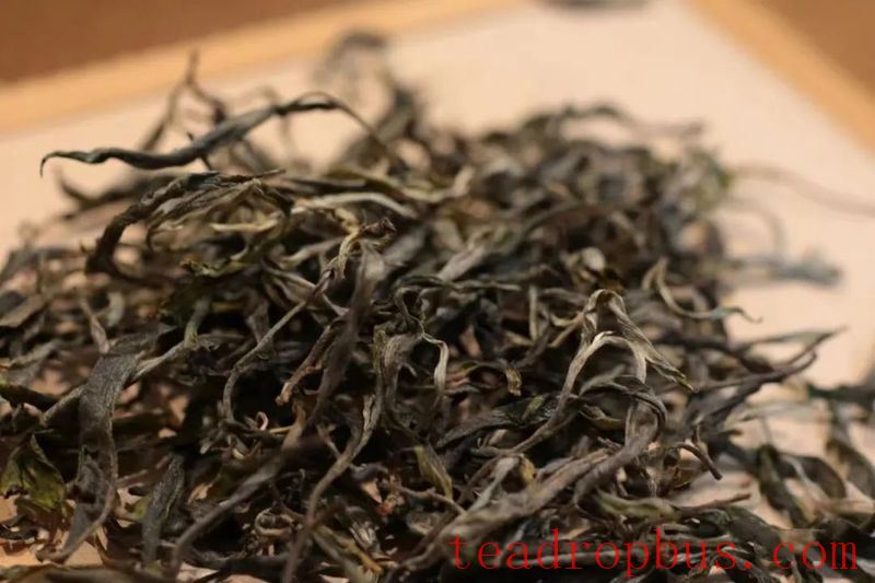 How Many Infusions Can Tea Stand? Which One Is the Best?-1