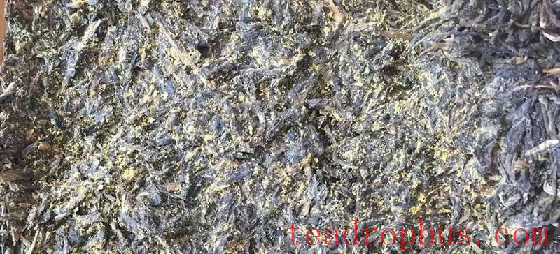 The Liu Zhonghua Academy Team Discusses the Gastrointestinal Regulation Efficacy of Anhua Dark Tea-1