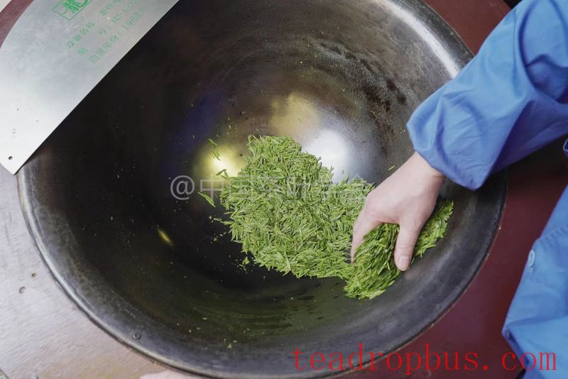 Intangible Cultural Heritage of Humanity: Traditional Chinese Tea Processing Skills - Green Tea Chapter ① – West Lake Longjing-10