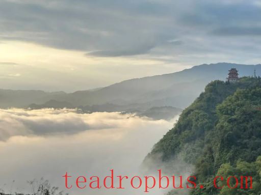 Pingshan County's Longhua Town, Yibin City: Concentrating on the 