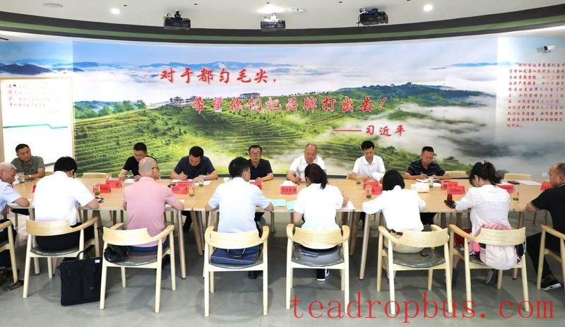 Duyun's First Fully Automated Tea Production Line Put into Operation-7