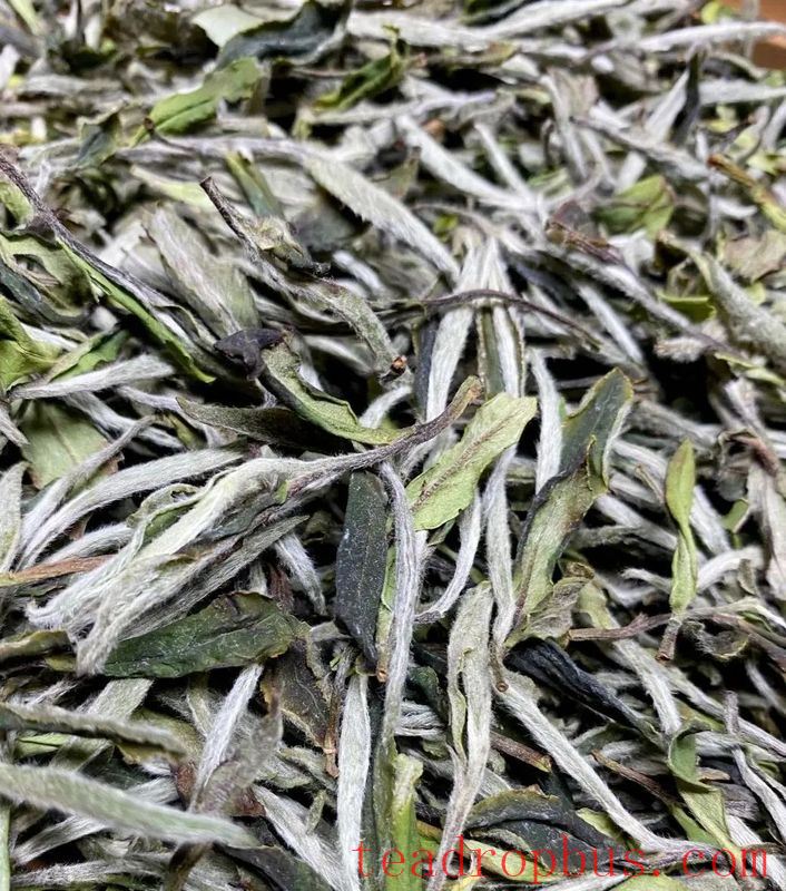 What's the Difference Between Brewing and Boiling White Tea?-1