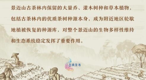 A Series of Posters Introducing the World Cultural Heritage Site: 