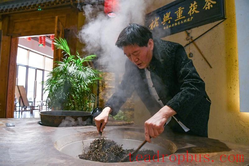 Fu Tea: The Journey of a Single Leaf-2