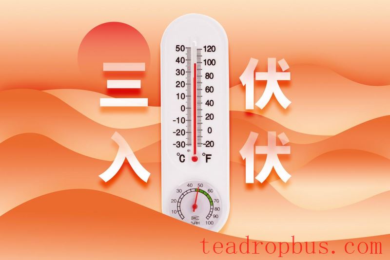 Beat the Heat with Heat: Drinking Tea During the Dog Days-1