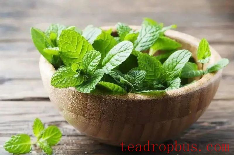 World Tea Culture (Africa Series) —— West African Tea Drinking Culture-3