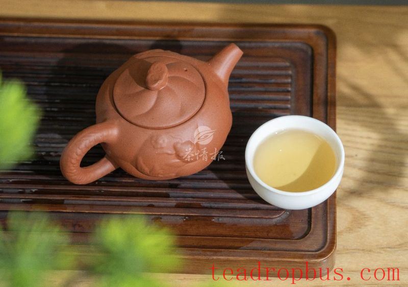 The Story of Chenpi and White Tea-1