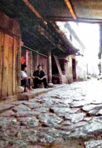 Tea Fragrance from Xishuangbanna: The Famous Pu'er Mountain of Yiwu-2