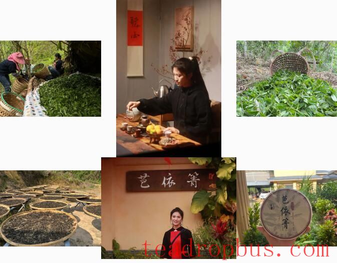 To the Yao District, Yao Ethnic Township: Savoring Spring Tea at 