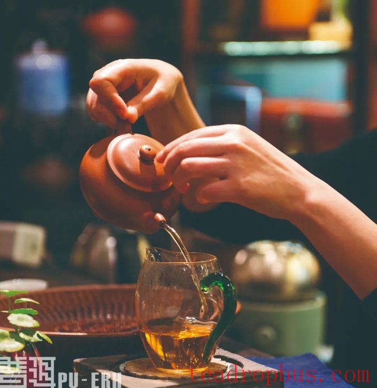 Empirical Science: Is Tea the Remedy for All Ills?-2