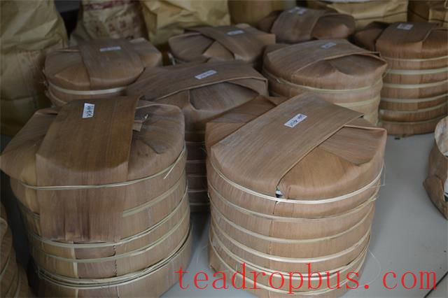 Puer Tea Collection Precautions-3