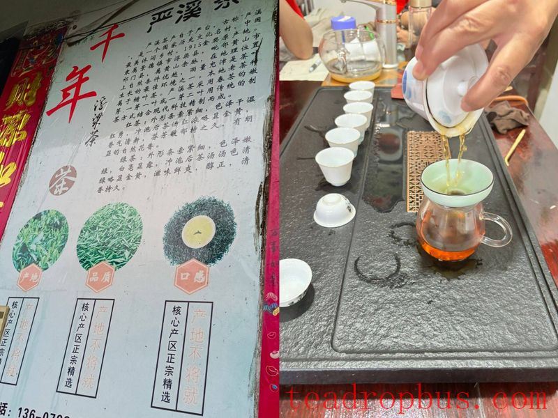 Chayou YanTai: A Hidden Gem for a Thousand Years-1