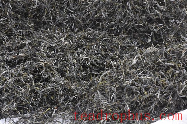 Purpose of Blending Pu'er Tea-1